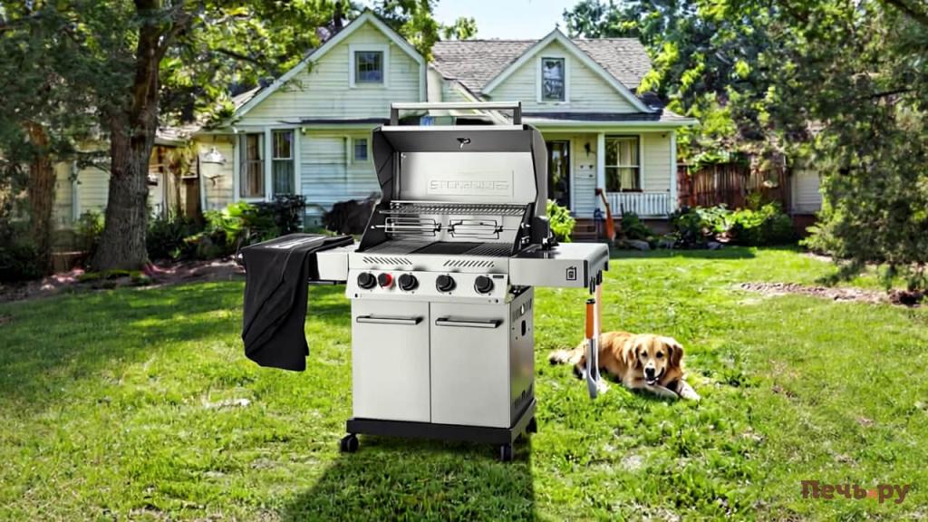 Make the _grill_and_dog_ image rectangular with a 2_1 aspect ratio. (1).jpg